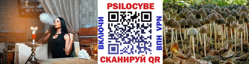 Галлюциногенные грибы прущие грибы  наркошоп  Лесозаводск 